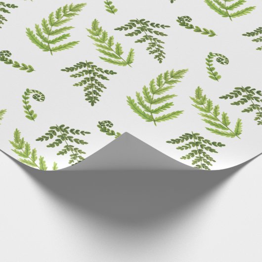Papier Cadeau Ferns (Coin)