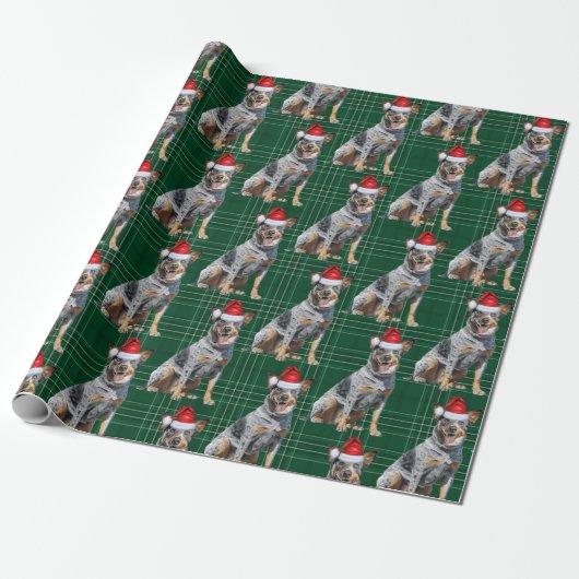 Papier Cadeau Festif Plaid Blue Heeler Père Noël Chien Noël (Déroulé)