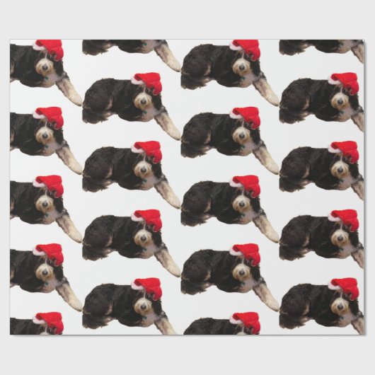Papier Cadeau Festive et mignon bernedoodle portant un chapeau d (Plat)