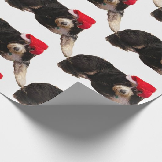 Papier Cadeau Festive et mignon bernedoodle portant un chapeau d (Coin)