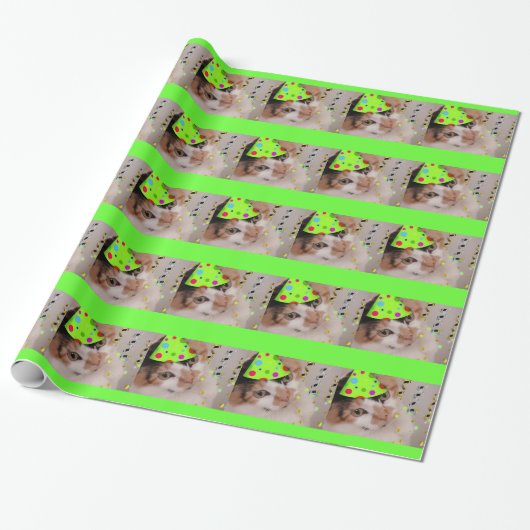 Papier Cadeau Fête d'anniversaire Calico Cat (Déroulé)