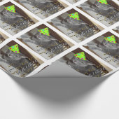 Papier Cadeau Fête d'anniversaire Russe Bleu Chat (Coin)