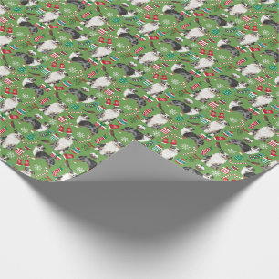 Papier Cadeau Fête de Noël de l'Australien Shepherd Blue Merle