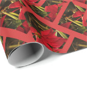 Papier Cadeau Fête de Noël de Poinsettia (Coin rond)
