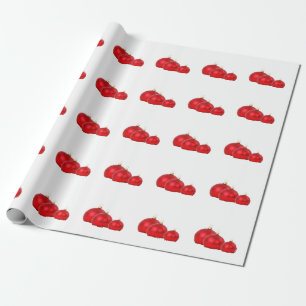Papier Cadeau Fêtes
