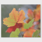 Papier Cadeau Feuille d'automne (Plat)