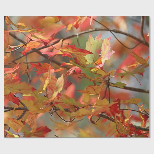 Papier Cadeau Feuille d'automne de danse (Plat)