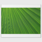 Papier Cadeau Feuille de palme (Plat)