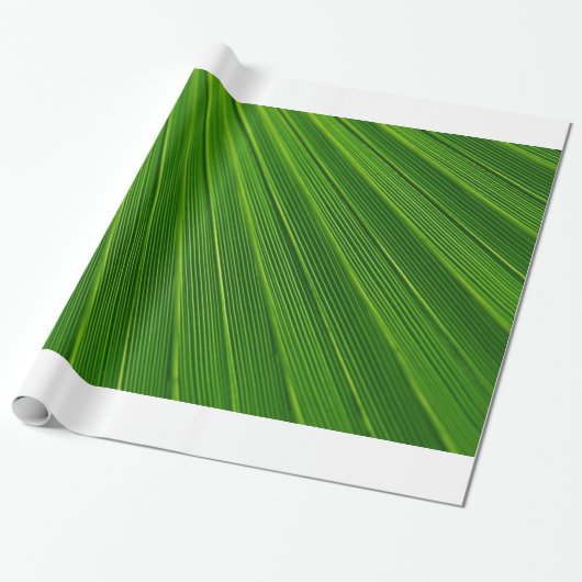 Papier Cadeau Feuille de palme (Déroulé)