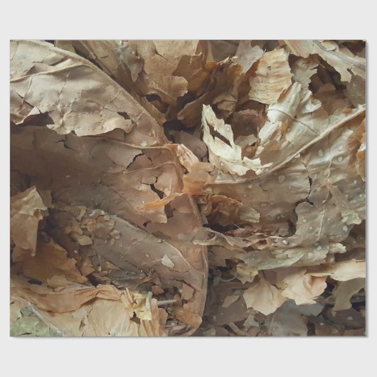 Papier Cadeau Feuille sec de tabac (Plat)