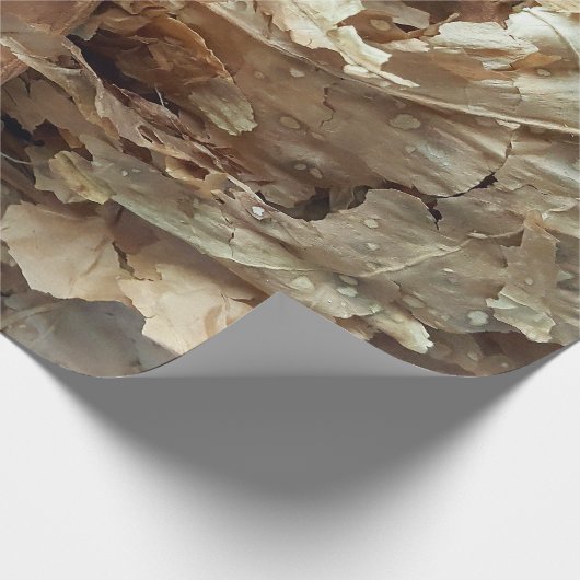 Papier Cadeau Feuille sec de tabac (Coin)
