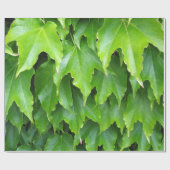 Papier Cadeau Feuille vert brillant de lierre (Plat)