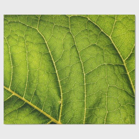 Papier Cadeau Feuille verte (Plat)