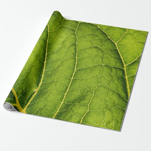Papier Cadeau Feuille verte (Déroulé)