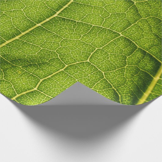 Papier Cadeau Feuille verte (Coin)