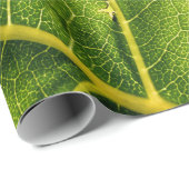 Papier Cadeau Feuille verte (Coin rond)