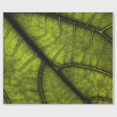 Papier Cadeau Feuille verte en gros plan (Plat)