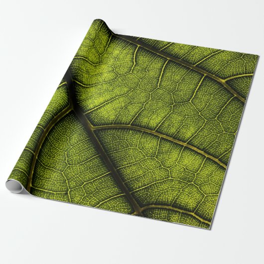 Papier Cadeau Feuille verte en gros plan (Déroulé)