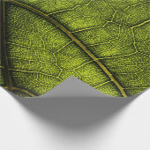 Papier Cadeau Feuille verte en gros plan (Coin)