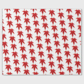 Papier Cadeau Feuilles d'automne (Plat)