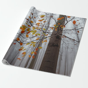 Papier Cadeau Feuilles d'automne feuilles de forêt tombées