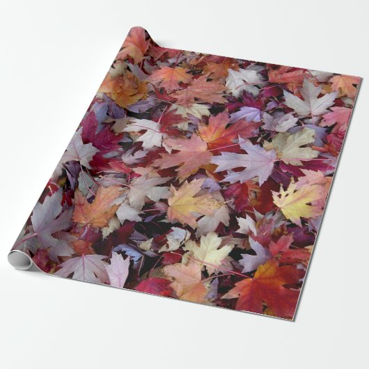 Papier Cadeau Feuilles d'Automne Tombées (Déroulé)