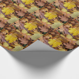 Papier Cadeau Feuilles de Érable Tombées Jaune Automne Nature