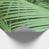 Papier Cadeau Feuilles de palmier vertes thème nature (Coin)