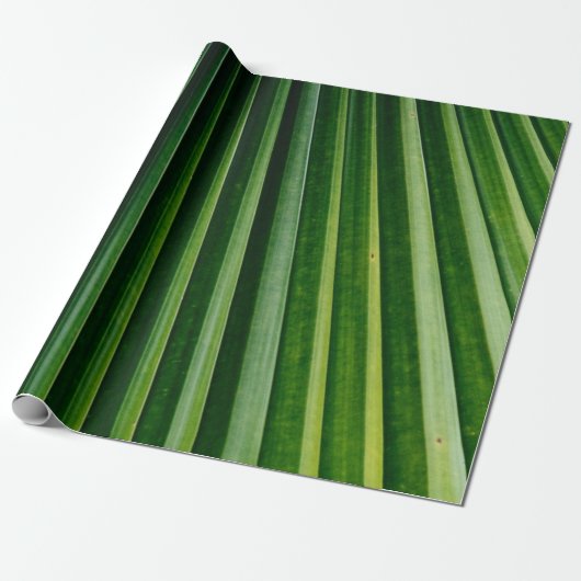 Papier Cadeau Feuilles de palmiers verts (Déroulé)