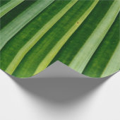 Papier Cadeau Feuilles de palmiers verts (Coin)