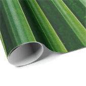 Papier Cadeau Feuilles de palmiers verts (Coin rond)
