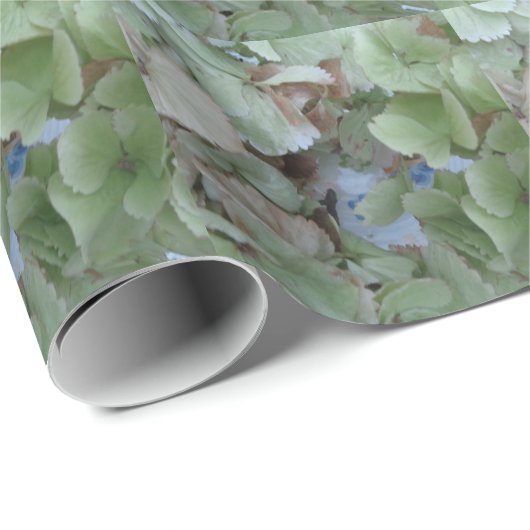 Papier Cadeau Feuilles d'Hydrangea (Coin rond)