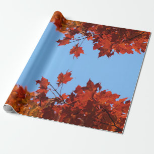 Papier Cadeau Feuilles rouges d'automne et ciel bleu