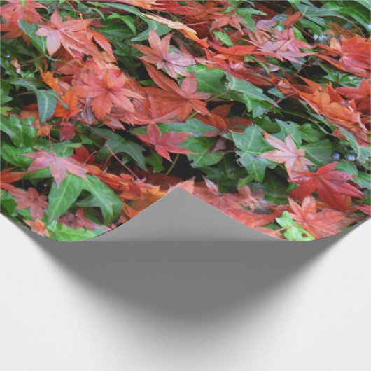 Papier Cadeau Feuilles - Rouges et Vertes (Coin)