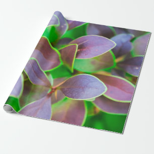 Papier Cadeau Feuilles vibreux vert et violet