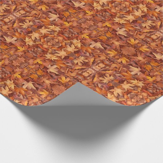 Papier Cadeau feuillu (Coin)