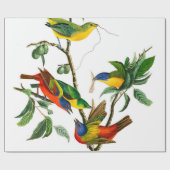 Papier Cadeau Finche peinte par John James Audubon (Plat)