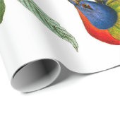 Papier Cadeau Finche peinte par John James Audubon (Coin rond)