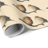 Papier Cadeau Finches (Coin rond)