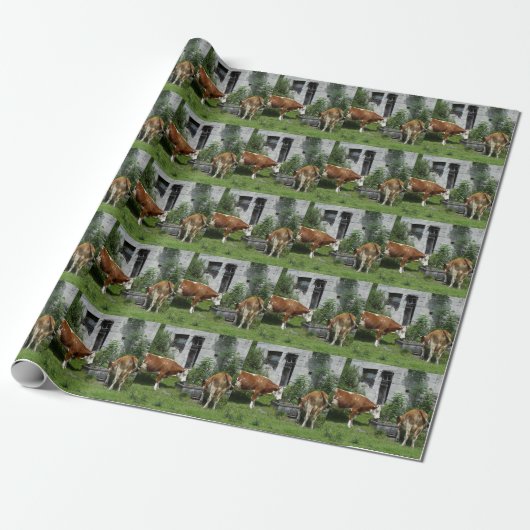 Papier Cadeau Fleckvieh soif (Déroulé)