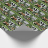 Papier Cadeau Fleckvieh soif (Coin)