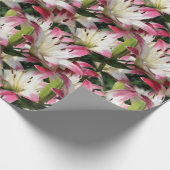 Papier Cadeau Fleur blanche Nature Motif (Coin)