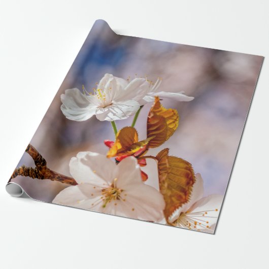 Papier Cadeau Fleur Blanche Sakura Et Feuilles Oranges (Déroulé)
