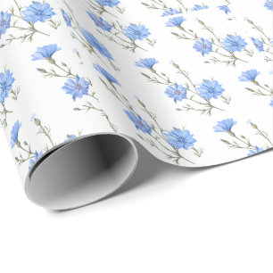 Papier Cadeau Fleur chicorée sauvage Aquarelle botanique Art