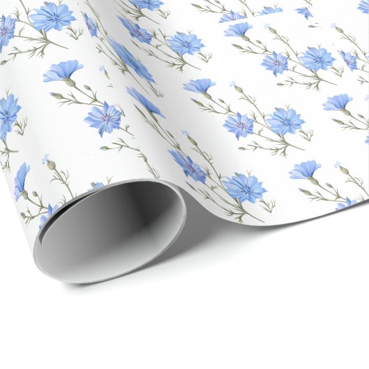 Papier Cadeau Fleur chicorée sauvage Aquarelle botanique Art (Coin rond)