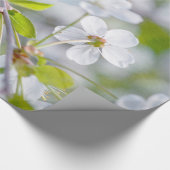 Papier Cadeau Fleur de cerisier blanche (Coin)