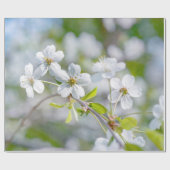 Papier Cadeau Fleur de cerisier blanche (Plat)