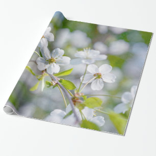 Papier Cadeau Fleur de cerisier blanche