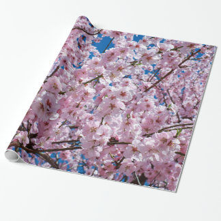 Papier Cadeau Fleur de cerisiers