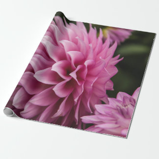 Papier Cadeau fleur de dahlia de printemps